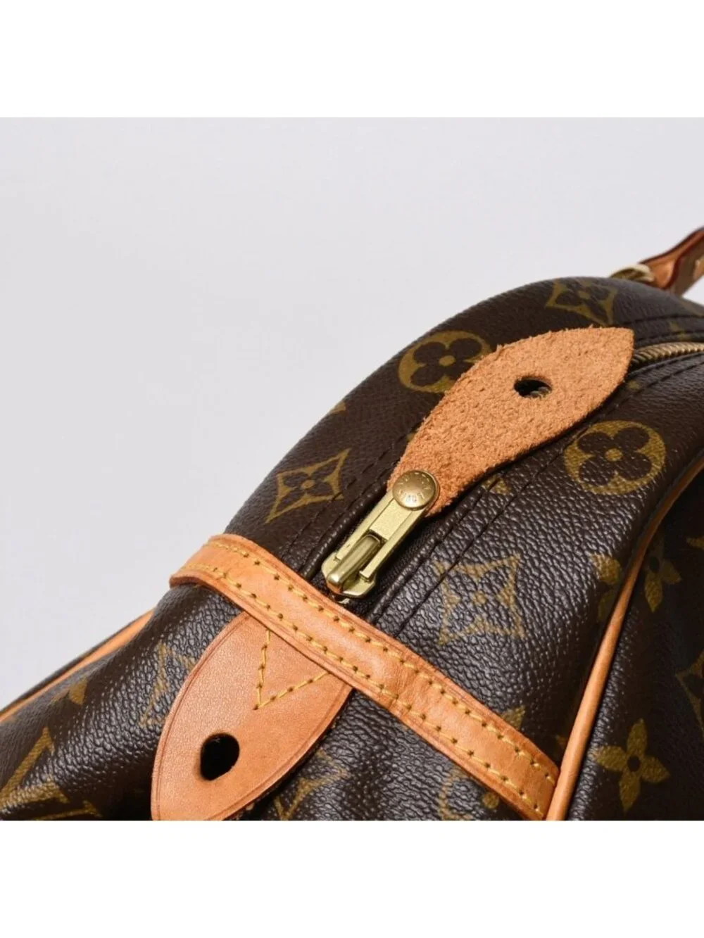 Louis Vuitton brand louis